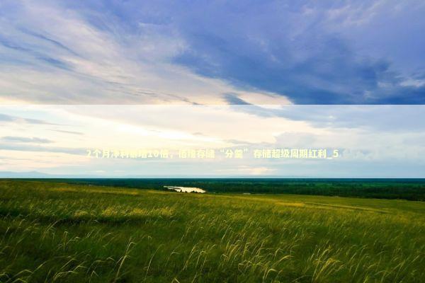 2个月净利暴增10倍,佰维存储“分羹”存储超级周期红利_5 2个月净利暴增10倍,佰维存储“分羹”存储超级周期红利_5 新闻