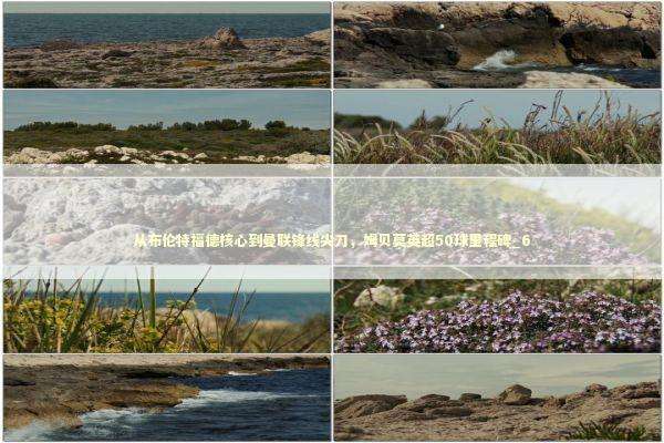 从布伦特福德核心到曼联锋线尖刀,姆贝莫英超50球里程碑_6 从布伦特福德核心到曼联锋线尖刀,姆贝莫英超50球里程碑_6 新闻