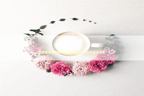 特朗普关税政策陷入法律噩梦24州总检起诉违宪 特朗普关税政策陷入法律噩梦24州总检起诉违宪 新闻