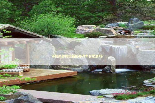 手机集体提价新能源汽车会跟涨吗？