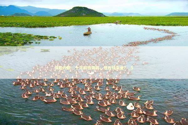 保险内勤:十年前铁饭碗,现在快失业?_5 保险内勤:十年前铁饭碗,现在快失业?_5 新闻