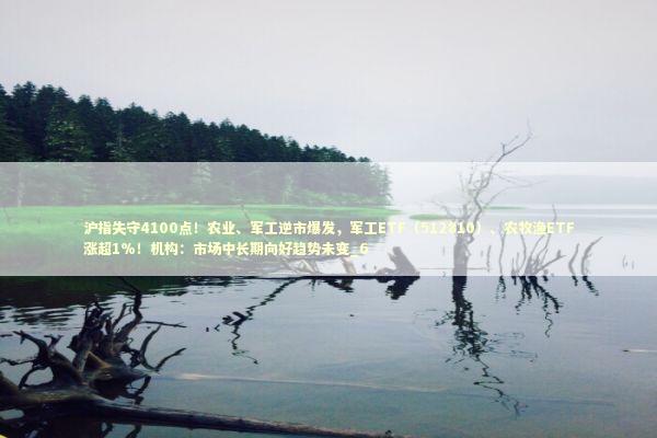 沪指失守4100点！农业、军工逆市爆发，军工ETF（512810）、农牧渔ETF涨超1%！机构：市场中长期向好趋势未变_6