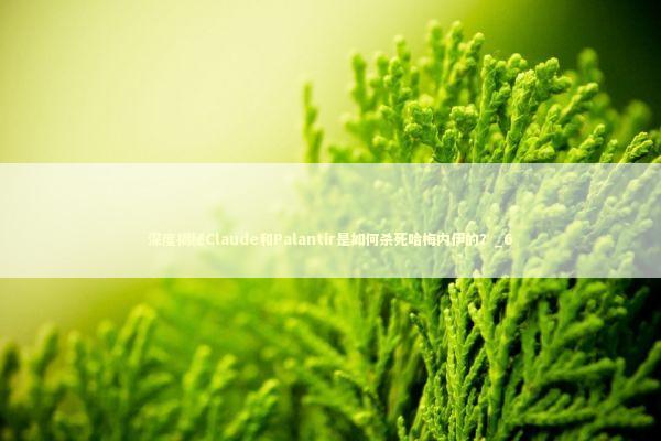 深度揭秘Claude和Palantir是如何杀死哈梅内伊的？_6 新闻