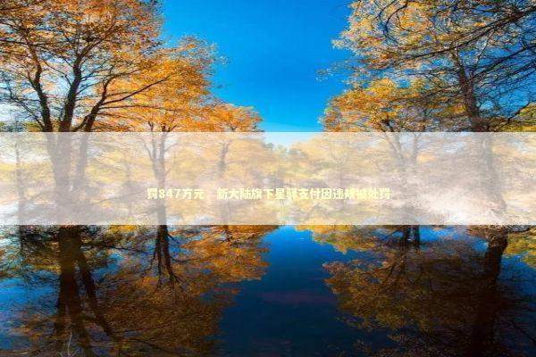 罚847万元，新大陆旗下星驿支付因违规被处罚