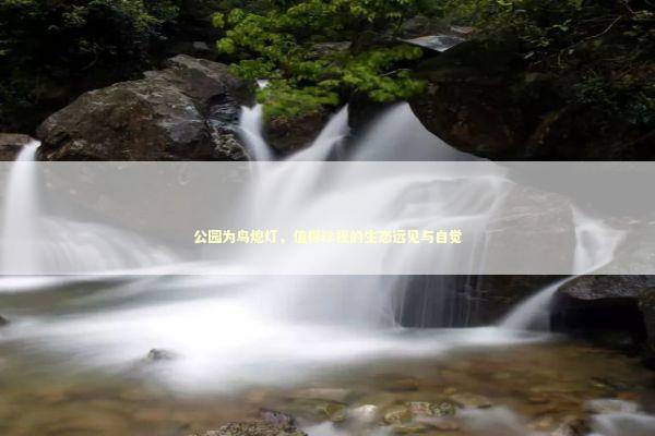 公园为鸟熄灯，值得珍视的生态远见与自觉 新闻