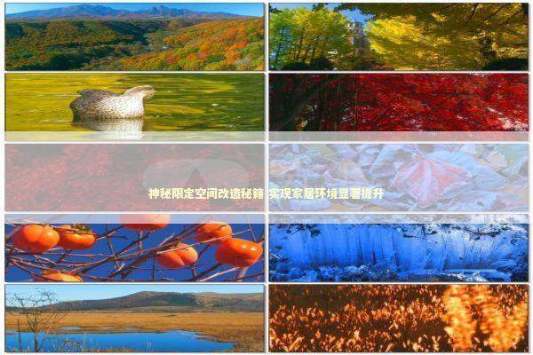 神秘限定空间改造秘籍 实现家居环境显著提升 神秘限定空间改造秘籍 实现家居环境显著提升 新闻