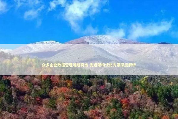 众多企业数据管理难题突出 先进架构优化方案深度解析