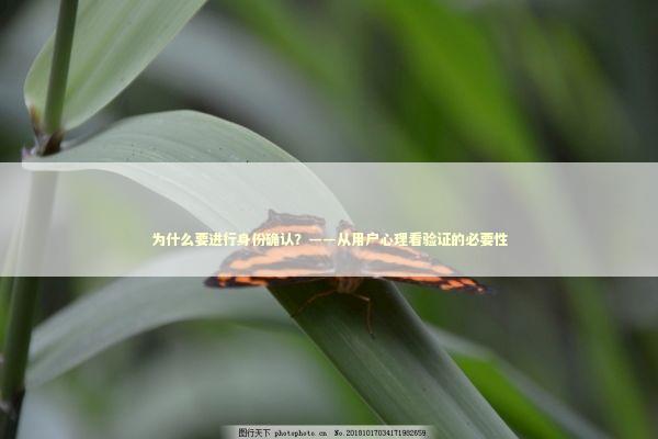 为什么要进行身份确认？——从用户心理看验证的必要性
