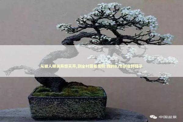 从被人嘲笑异想天开,到全村跟着发财:我的B2B创业野路子 企业服务