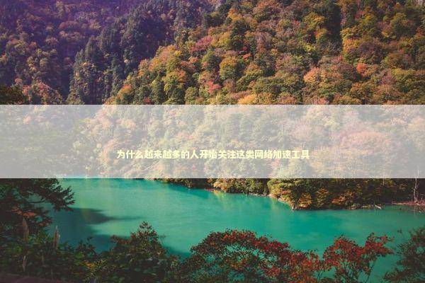为什么越来越多的人开始关注这类网络加速工具