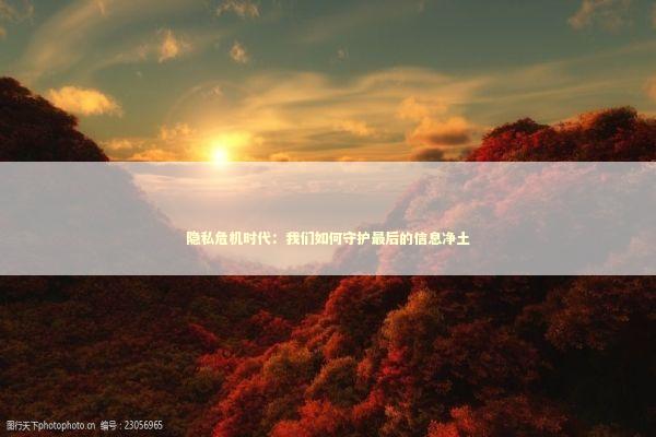隐私危机时代：我们如何守护最后的信息净土